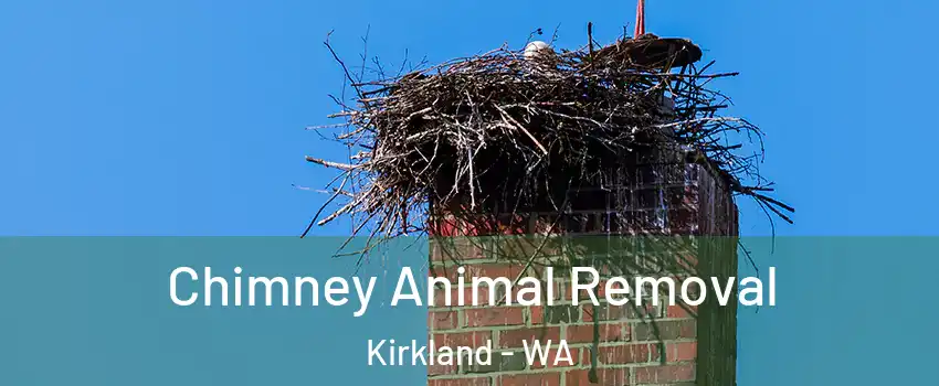 Chimney Animal Removal Kirkland - WA