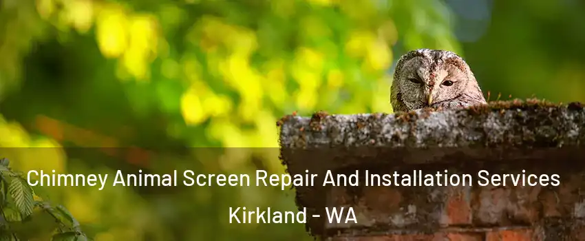  Chimney Animal Screen Repair And Installation Services Kirkland - WA