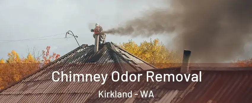  Chimney Odor Removal Kirkland - WA