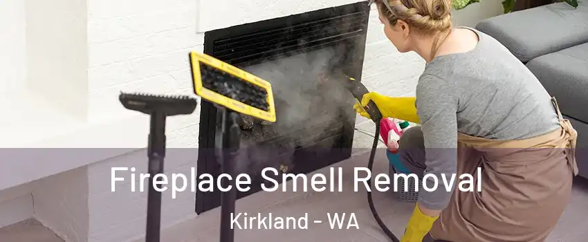  Fireplace Smell Removal Kirkland - WA