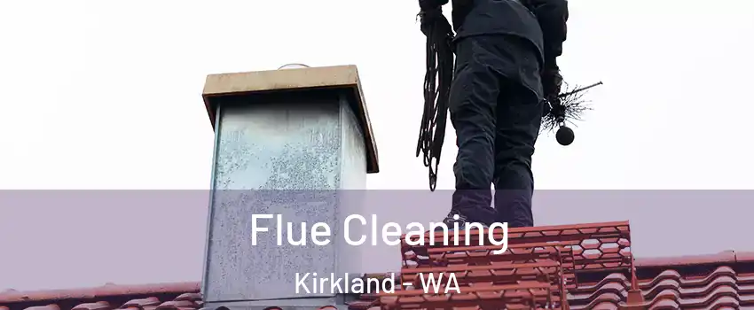  Flue Cleaning Kirkland - WA