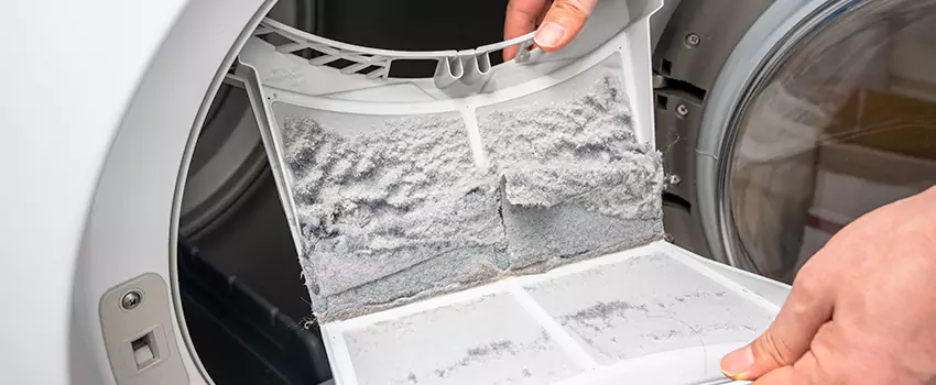 Best Dryer Lint Removal Company in Kirkland, Washington