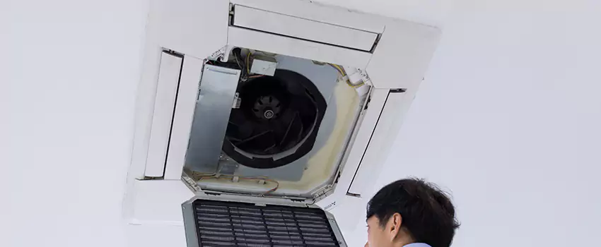 Benefits of Professional Air Duct Cleaning in Kirkland, Washington