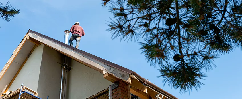 Birds Removal Contractors from Chimney in Kirkland, WA