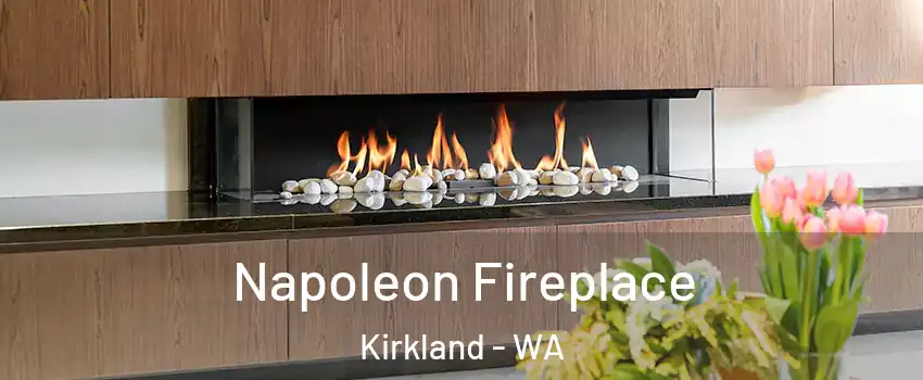  Napoleon Fireplace Kirkland - WA